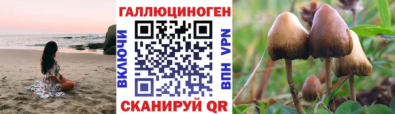 Галлюциногенные грибы Psilocybe  купить  сайты  Комсомольск-на-Амуре 